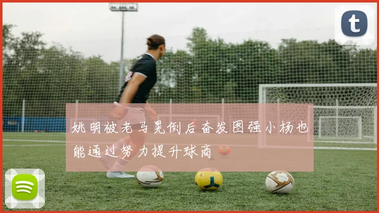 姚明被老马晃倒后奋发图强小杨也能通过努力提升球商