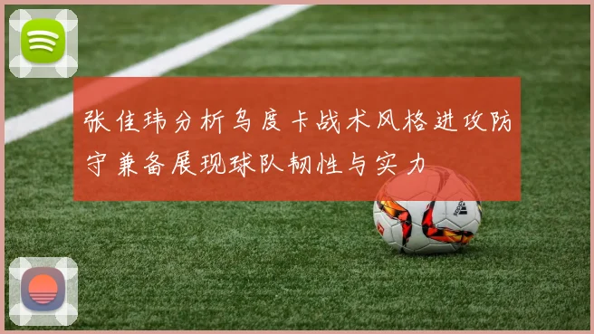 张佳玮分析乌度卡战术风格进攻防守兼备展现球队韧性与实力