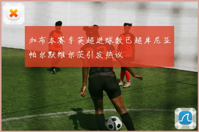 加布本赛季英超进球数已超库尼亚帕尔默维尔茨引发热议