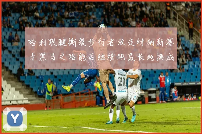 哈利跟腱撕裂步行者放走特纳新赛季黑马之路能否继续跑轰长轮换成关键
